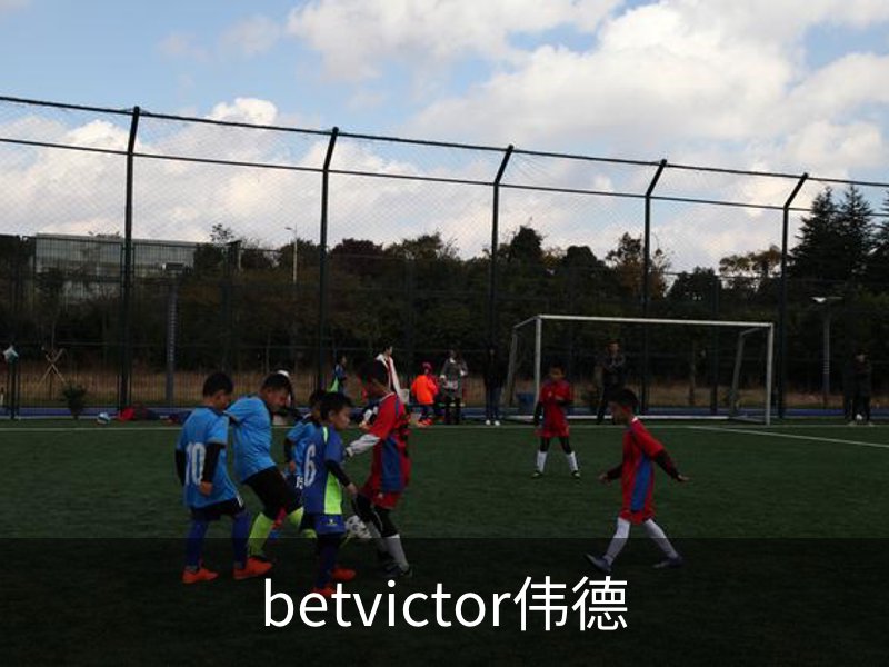 了解betvictor伟德
